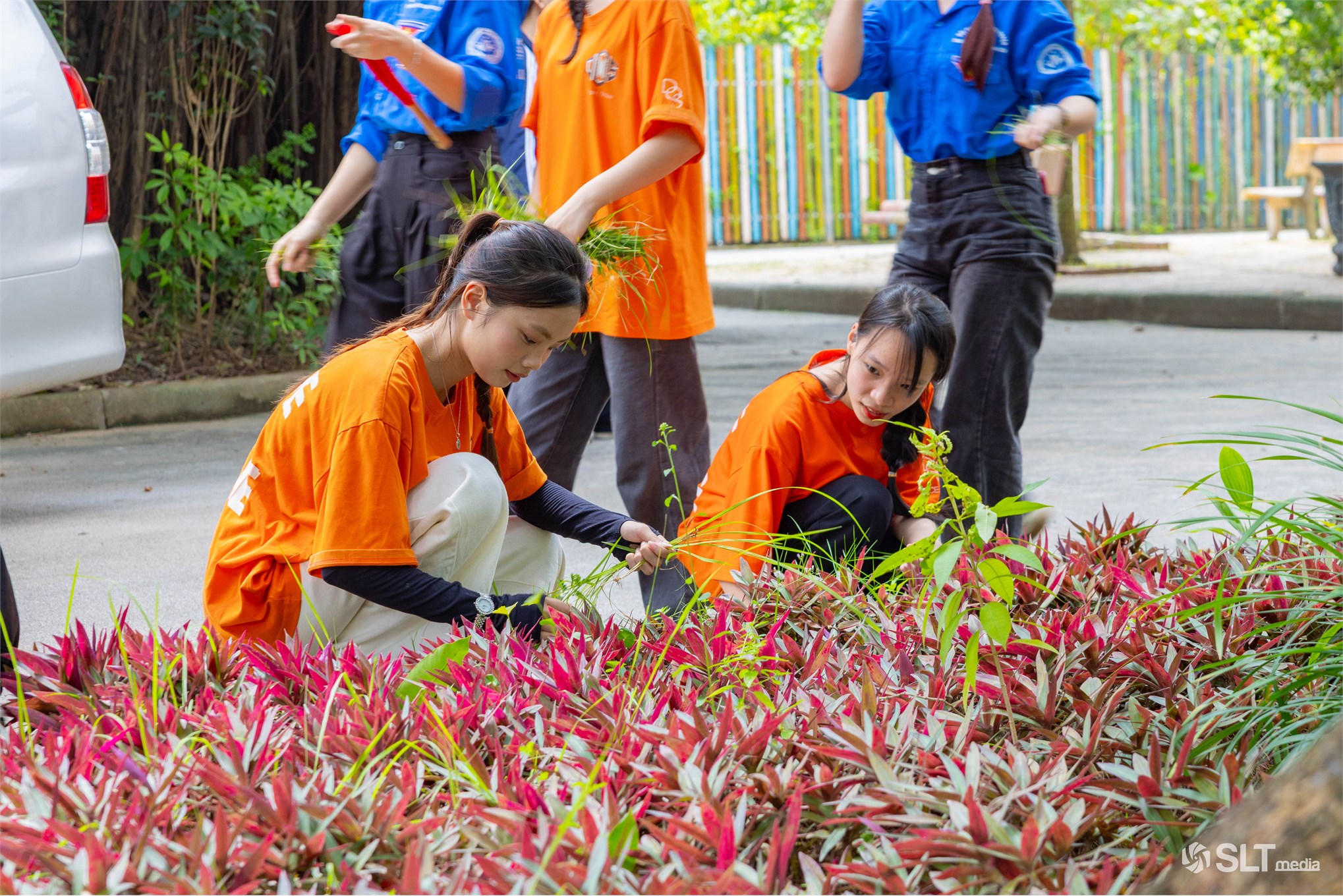 Ngày hè Xanh 2025: Tuổi trẻ Trường Ngoại ngữ - Du lịch lan tỏa yêu thương đến cộng đồng