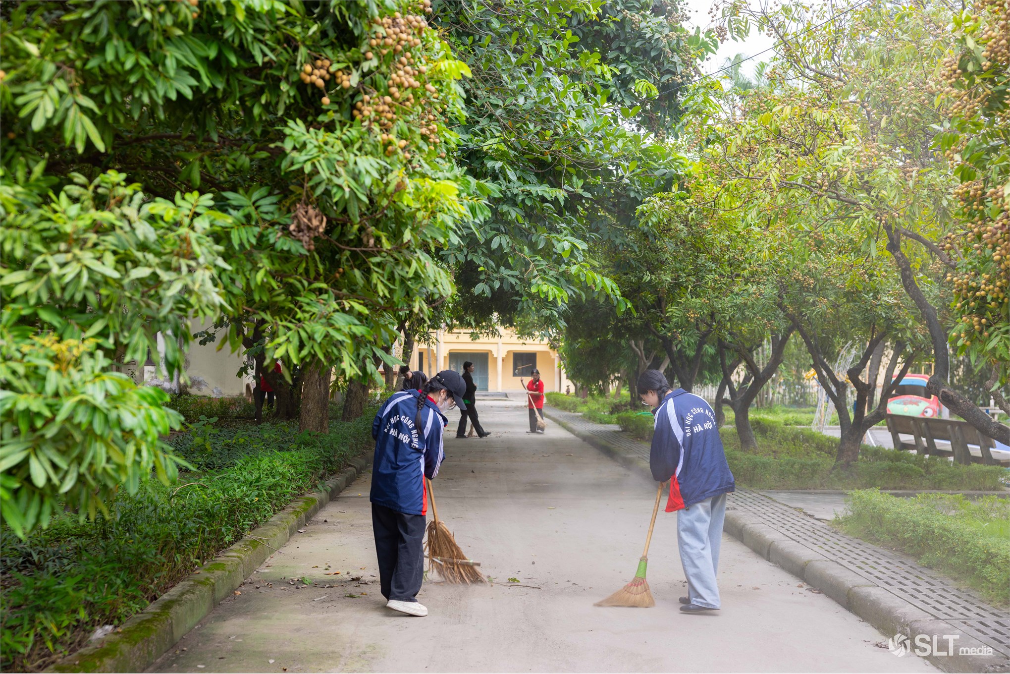 Ngày hè Xanh 2025: Tuổi trẻ Trường Ngoại ngữ - Du lịch lan tỏa yêu thương đến cộng đồng